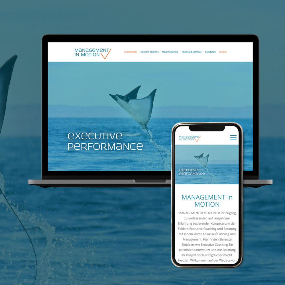 10_IQ_MIM_unternehmensberatung-executive-coaching-logo-design-Brand-webdesign-10