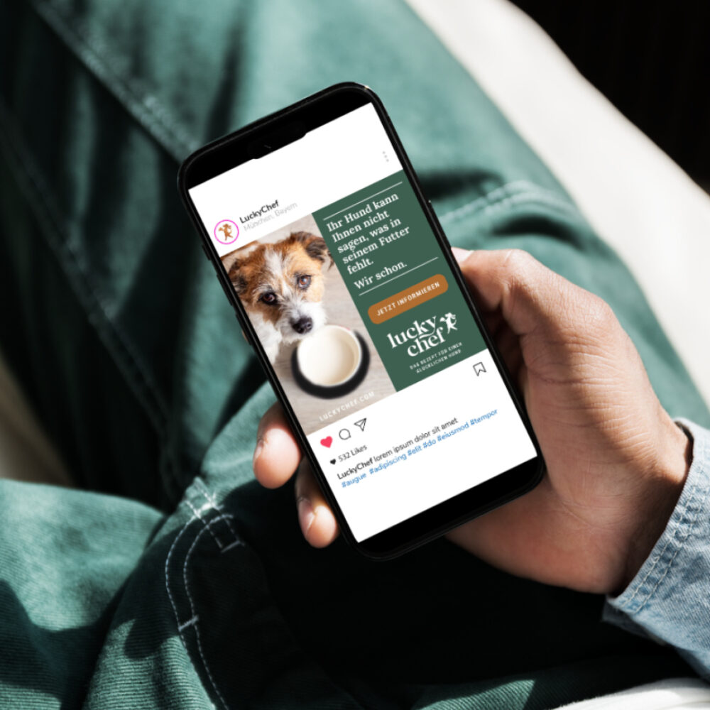IQ_kampagnendesign-webdesign-verpackungsdesign-contentdesign-petfood-hundecontent-app11
